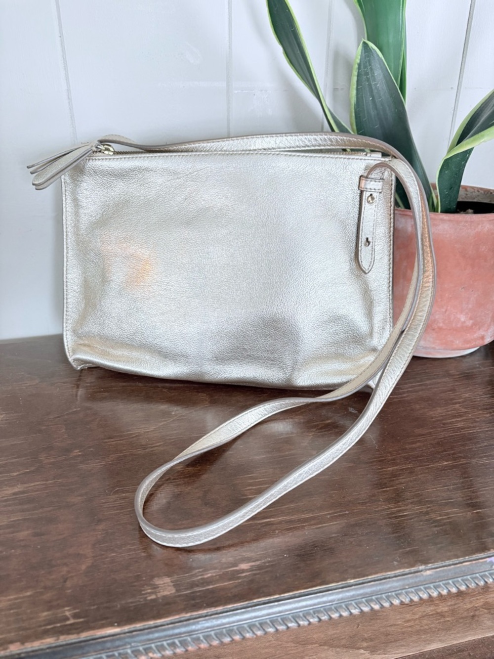 Banana Republic Gold Leather Crossbody Bag